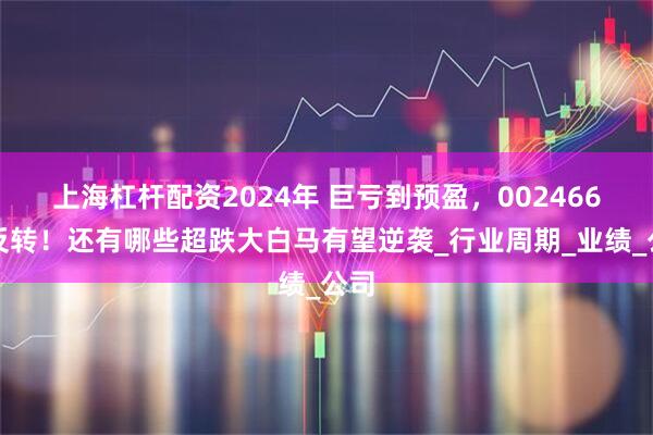 上海杠杆配资2024年 巨亏到预盈，002466大反转！还有哪些超跌大白马有望逆袭_行业周期_业绩_公司