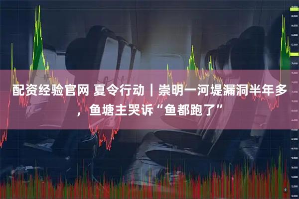 配资经验官网 夏令行动｜崇明一河堤漏洞半年多，鱼塘主哭诉“鱼都跑了”